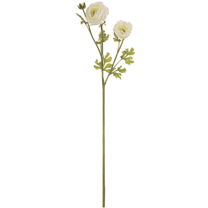White Ranunculus Stem Hobby Lobby 118661